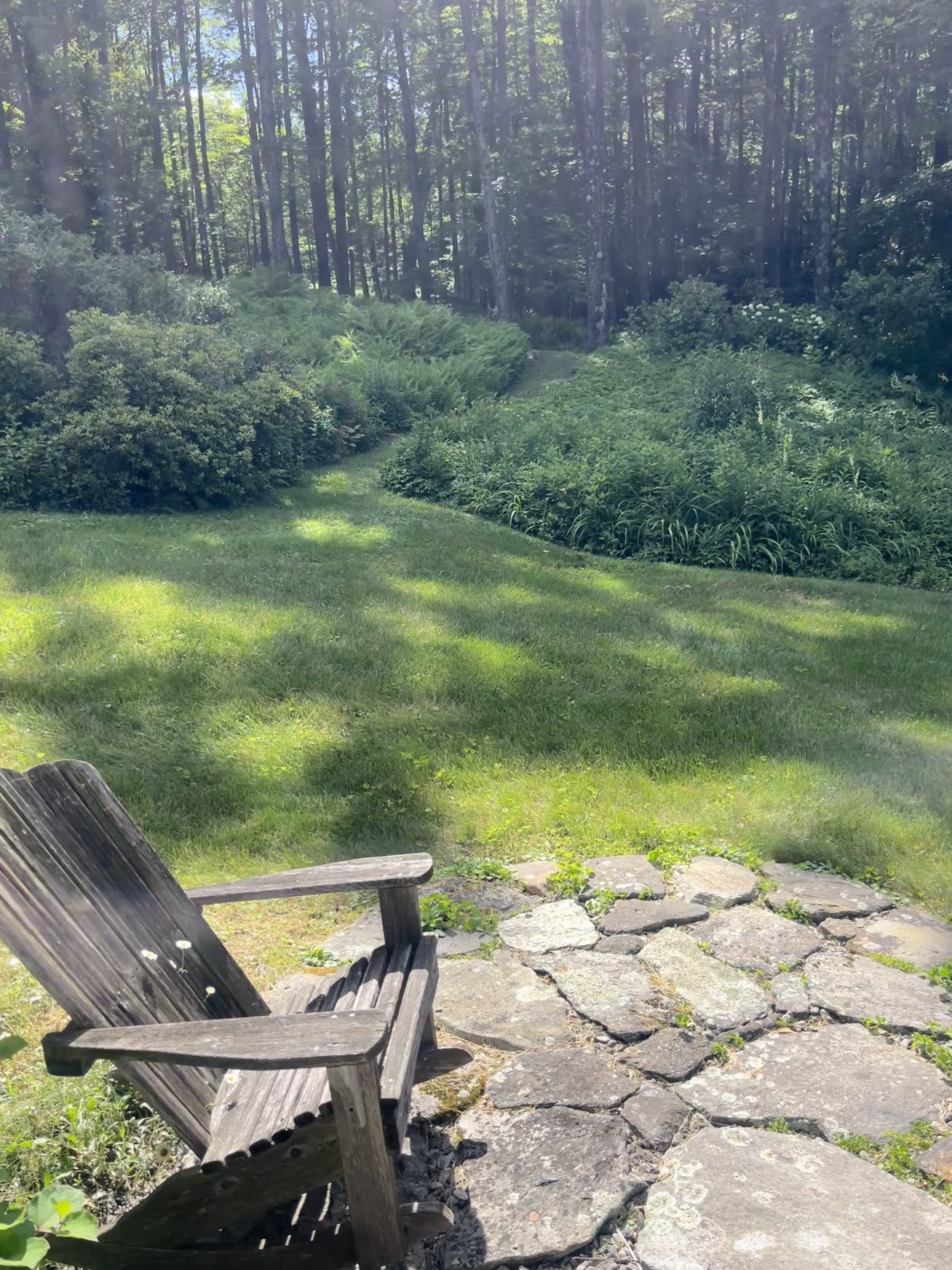 Adirondack chair overlooking the forest meadow
