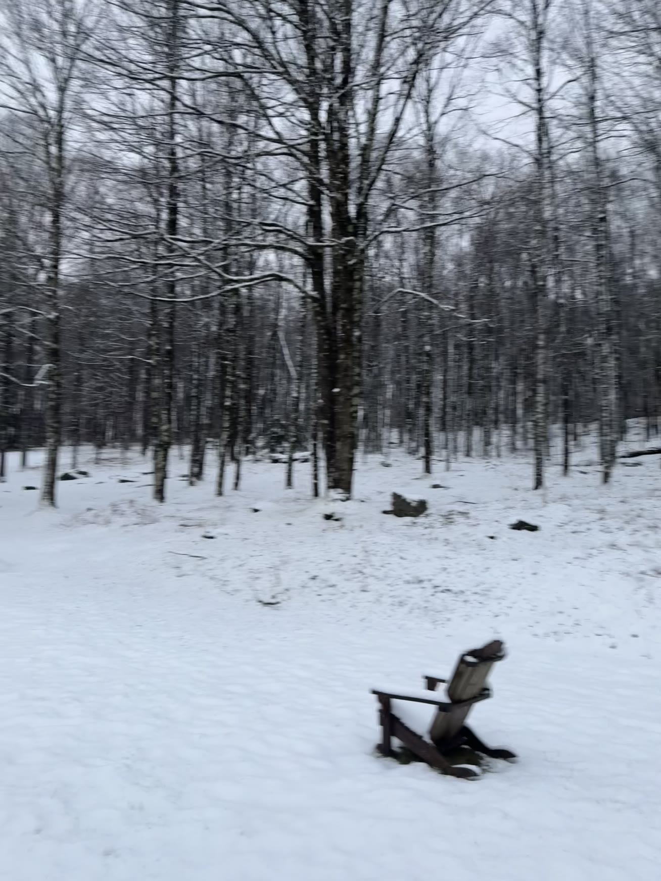 Adirondack chair in deep winter snow