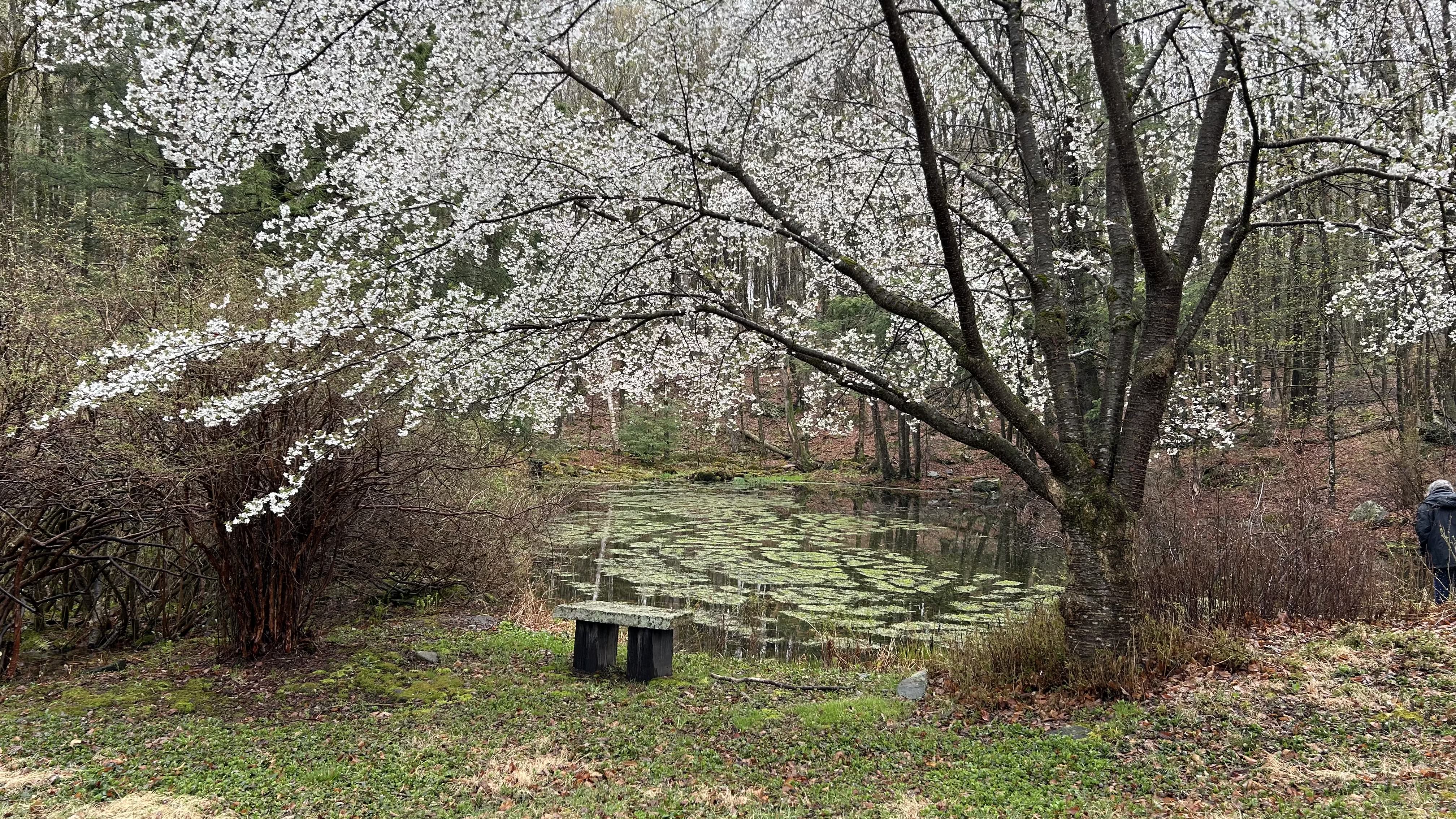 Outdoor mindfulness session