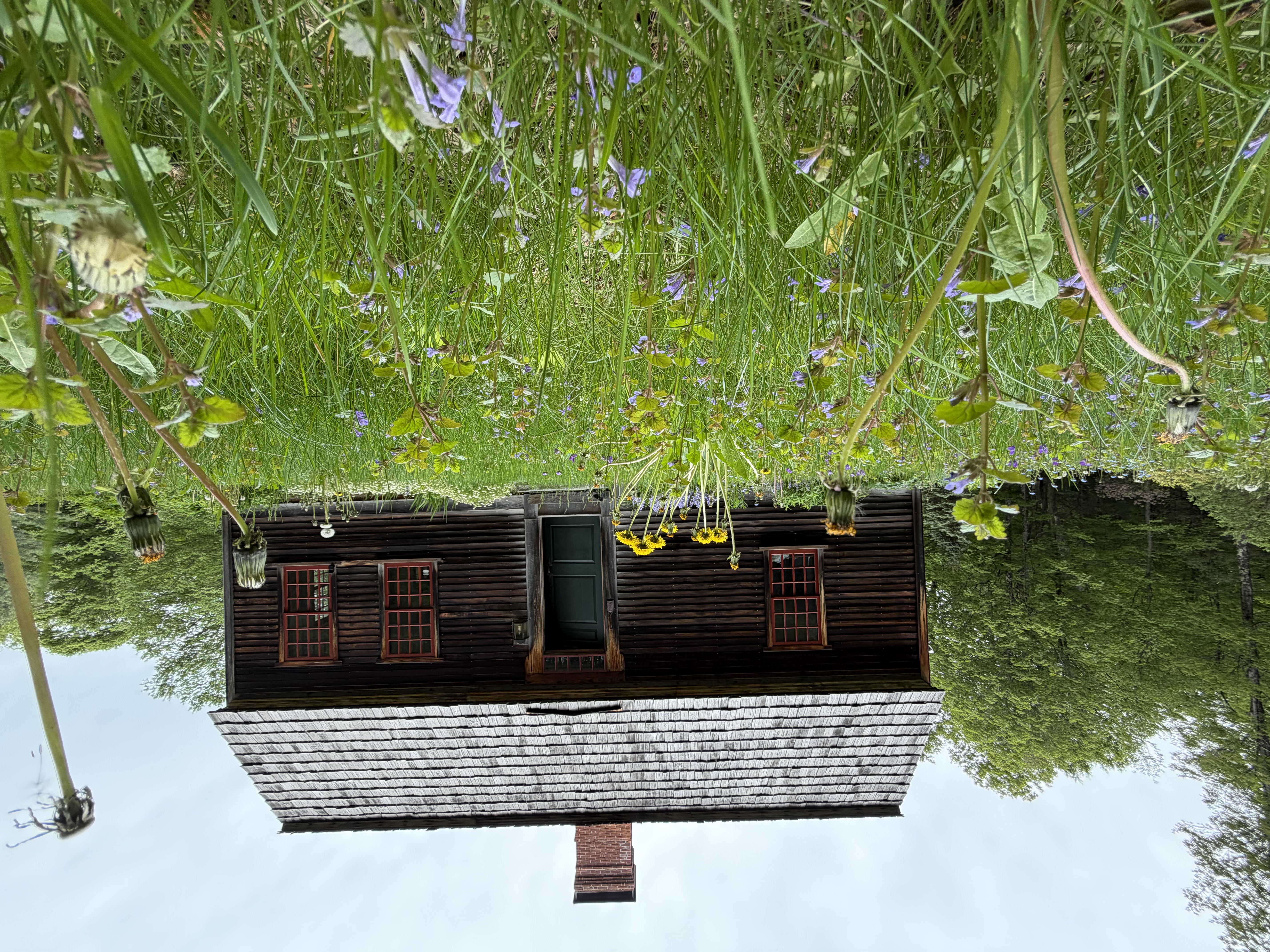 Forest stay accommodation